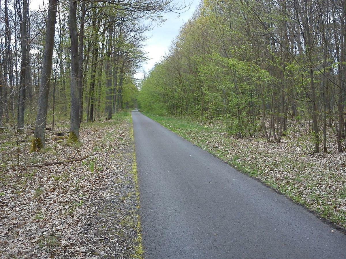 Ferienwohnungen 3 Birken Briesen  Exterior foto
