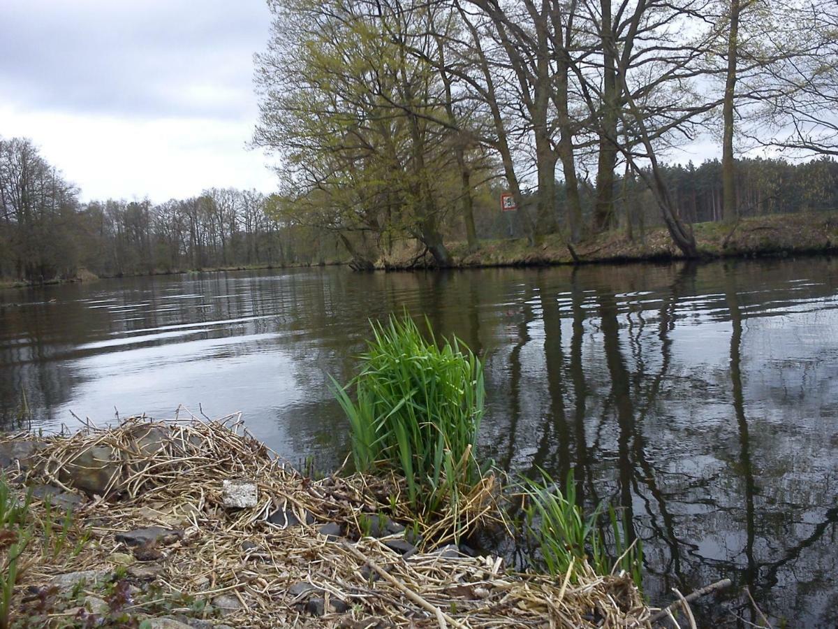 Ferienwohnungen 3 Birken Briesen  Exterior foto
